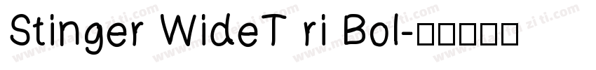 Stinger WideT ri Bol字体转换